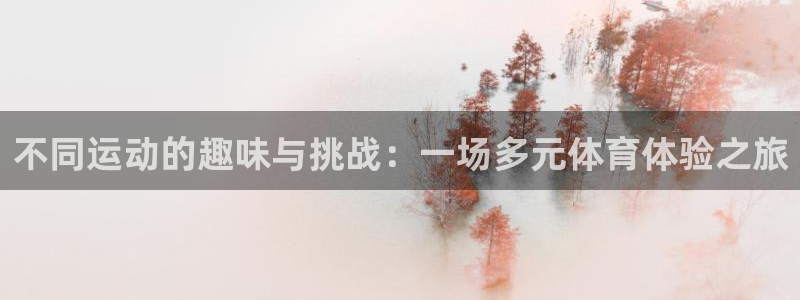 球速体育：不同运动的趣味与挑战：一场多元体育体验之旅