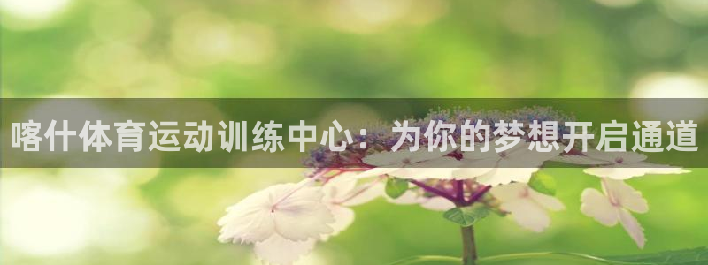 球速体育：喀什体育运动训练中心：为你的梦想开启通道