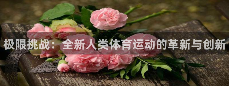 球速体育：极限挑战：全新人类体育运动的革新与创新