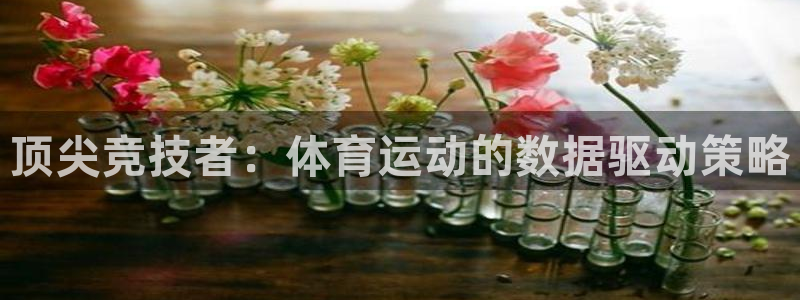 球速体育：顶尖竞技者：体育运动的数据驱动策略