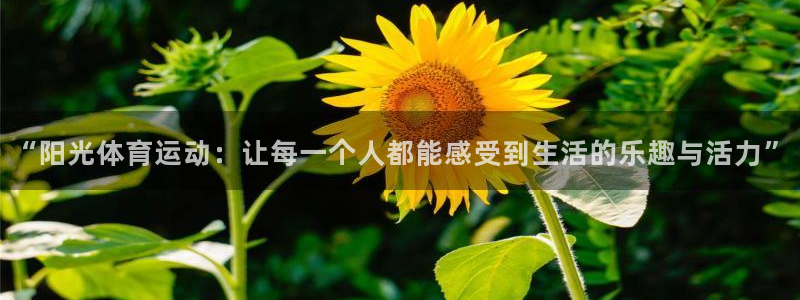 球速体育：“阳光体育运动：让每一个人都能感受到生活的乐趣与活力”