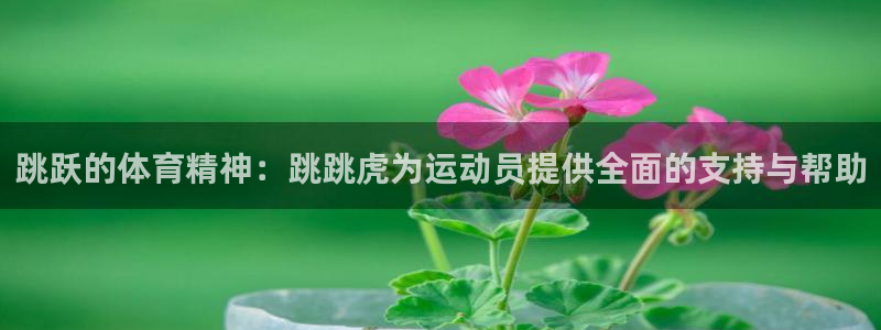 球速体育：跳跃的体育精神：跳跳虎为运动员提供全面的支持与帮助
