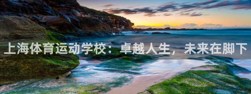 球速体育：上海体育运动学校：卓越人生，未来在脚下