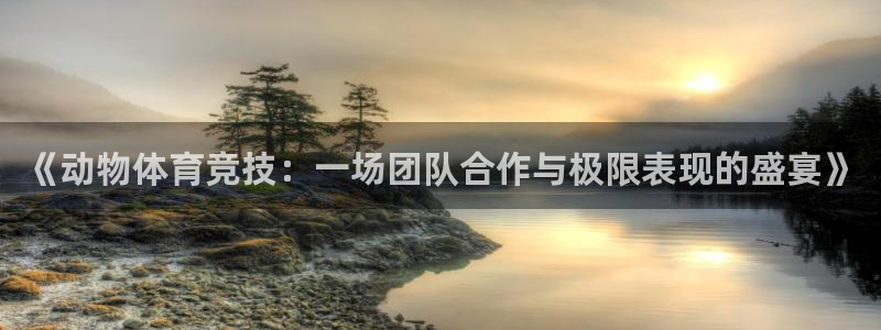 球速体育：《动物体育竞技：一场团队合作与极限表现的盛宴》