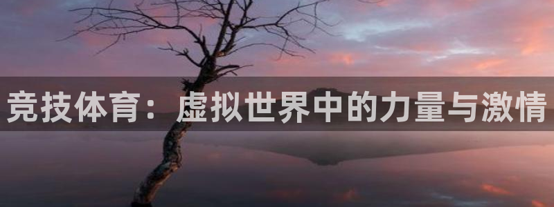 球速体育：竞技体育：虚拟世界中的力量与激情